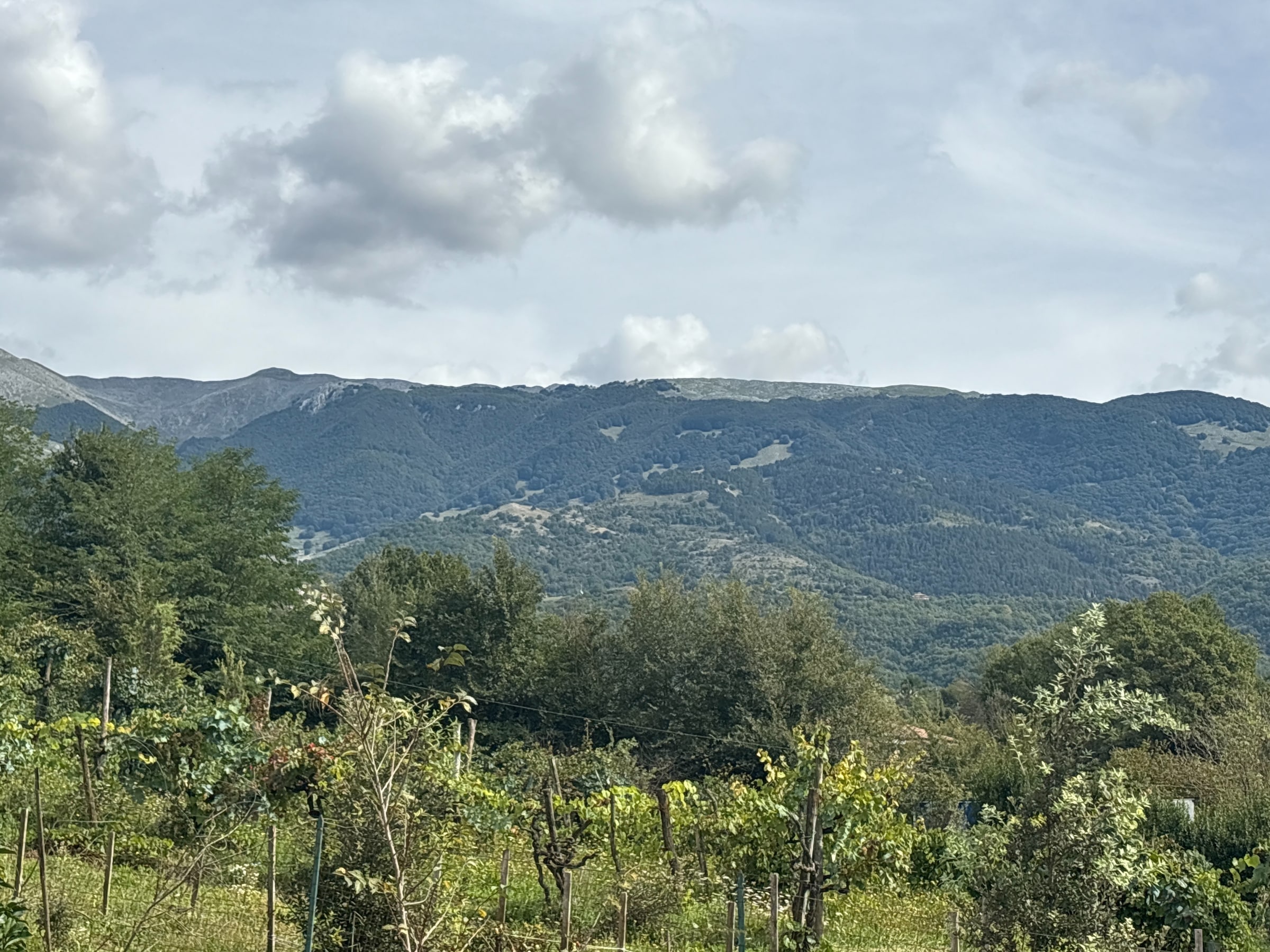 La bandiera della campagna ben tenuta: 97 paesi conquistano la Spiga Verde